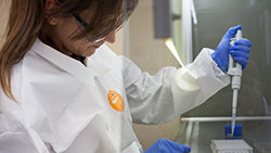 Deretil Biotecnologia