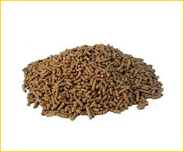 areas alimentacion animal