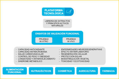 plataformas tecnologicas