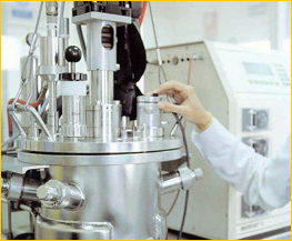 areas biotecnologías